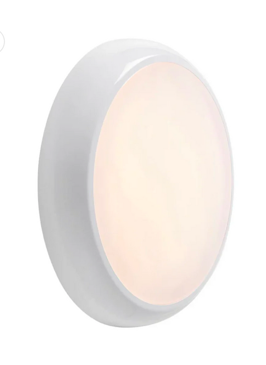 SUPPLY AND REPLACE BATHROOM LIGHT